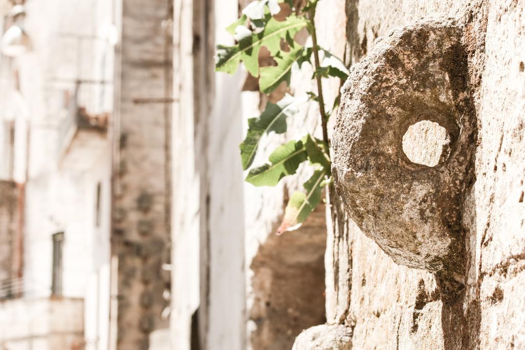 A Casa Di Rosa Villa Matera Szoba fotó